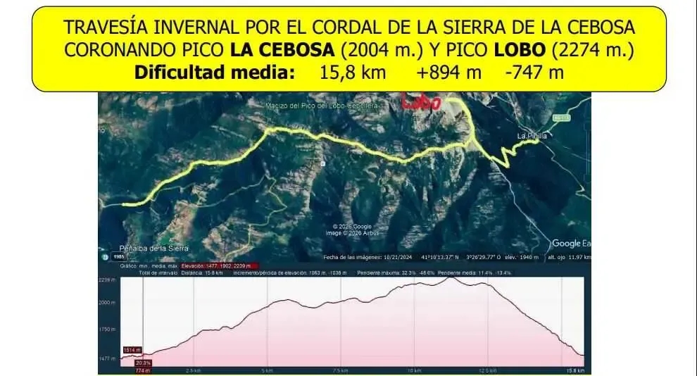 lobo por sierra la cebosa