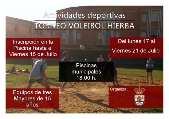 Campeonato de Voley