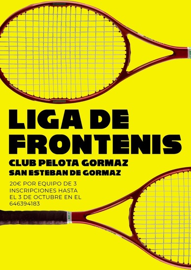 Liga de frontenis