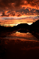 1 premio - De-clidos-reflejos_Flor-Serrador