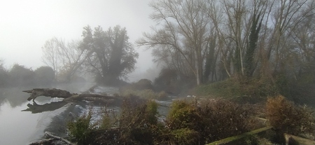 2 premio - Niebla en el Duero__Encarni Jimnez Mellado