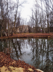 REFLEJOS DE OTOO_Ester Rucandio San Jos